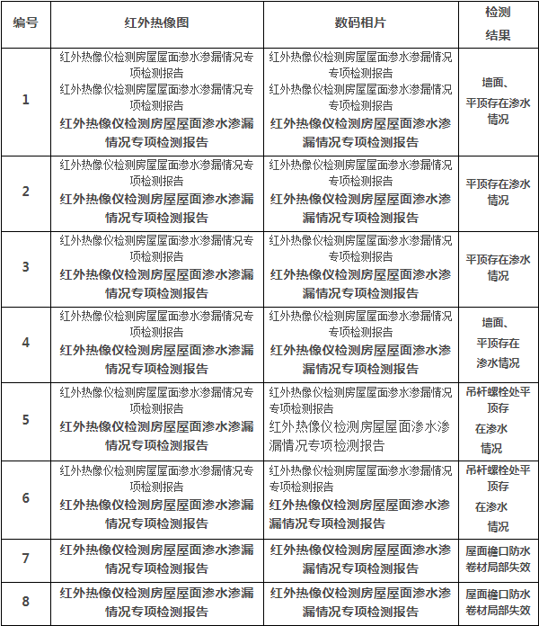 红外热像仪检测房屋屋面渗水渗漏情况专项检测报告