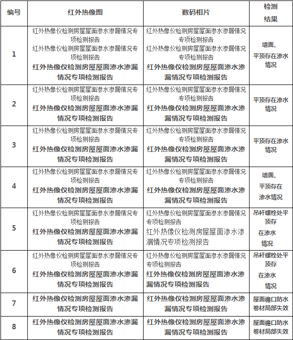 红外热像仪检测房屋屋面渗水渗漏情况专项检测报告 